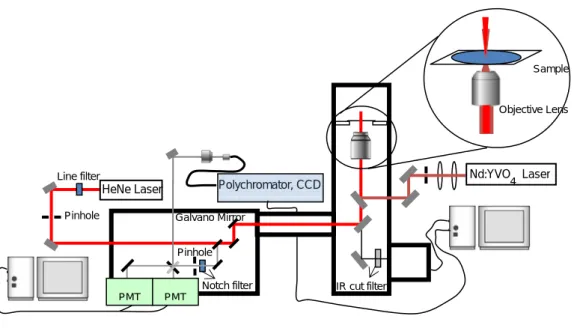 Fig. 1. Schematic drawing of Raman microspectroscopy for laser-trapping crystallization 