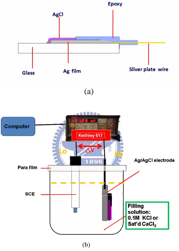 Fig. 3.11 參考電極 (a)標準裝置  (b)實驗裝置 