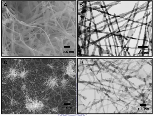 Figure 1.4 (A) SEM and (B) TEM mages of Cu NBs grown on Al TEM grid; (C) SEM and (D)  TEM mages of Ag NBs grown on Cu TEM grid