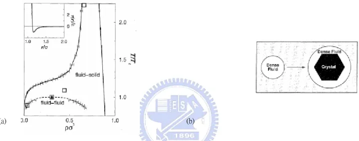 圖 3-5(a)圖中若有一固定溫度 T 橫過 fluid-fluid 線，交於兩點，三部份，此時溶液分為 protein-depleted 和 protein-enriched 兩種，