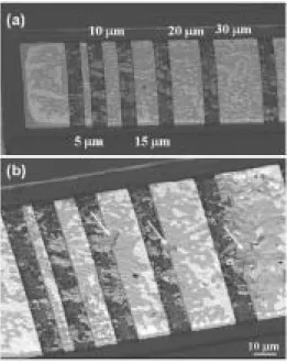 FIG. 4. 共a兲 Back-scattered SEM image showing another solder Blech speci- speci-men with stripes of 5, 10, 15, 20, and 30 ␮ m long before current stressing.