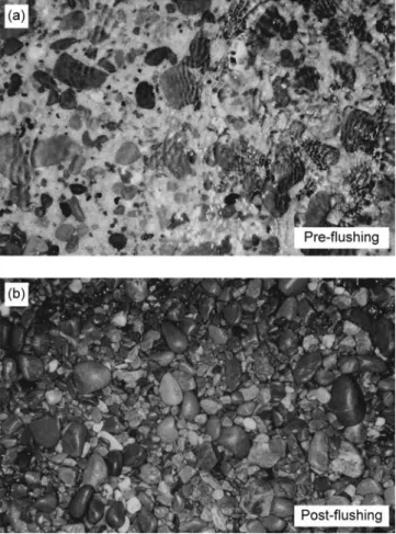 Figure 11. Simulated and measured evolutions of subsur- subsur-face sand proportion in three subreaches of the gravel/sand mixture reach.
