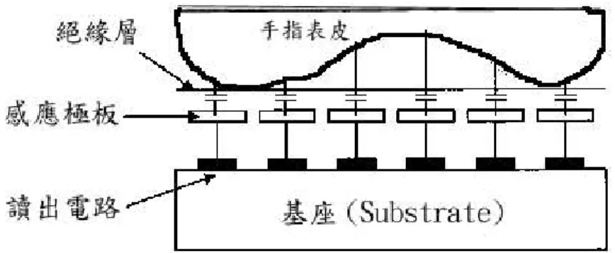 圖 2.7 電容式指紋晶片示意圖 