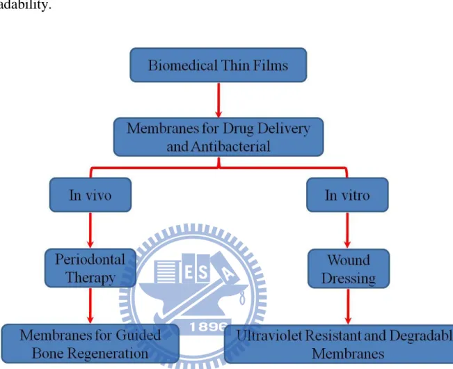 Figure 1- 4 scope of experiments 