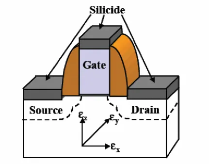 Fig. 1.1    Schematic illustration for 3D process-induce strain component[25]   