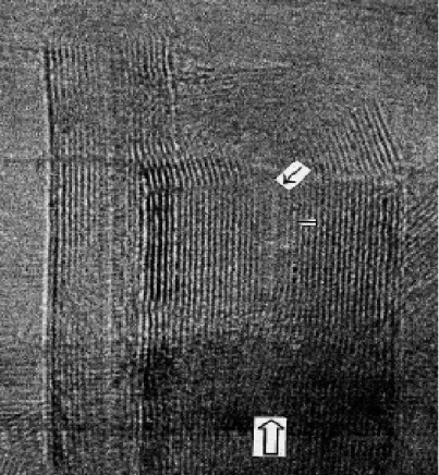 Fig. 2-3 HRTEM image of two nanotubes with outer diameters of 6 nm and 16 nm. [14] 