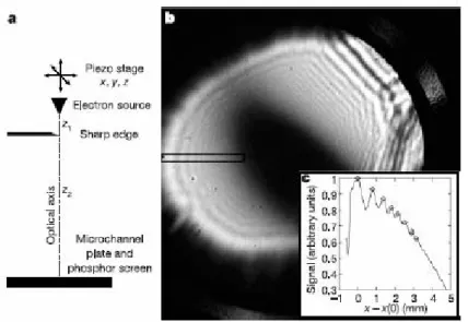 Fig. 2-33 a. Schematic overview of the point projection microscope. b. The Fresnel    interference pattern of a hole in a thin carbon film [35] 
