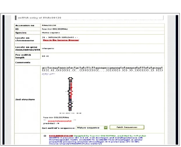 Table 3.1  The statistic of microRNAs. 
