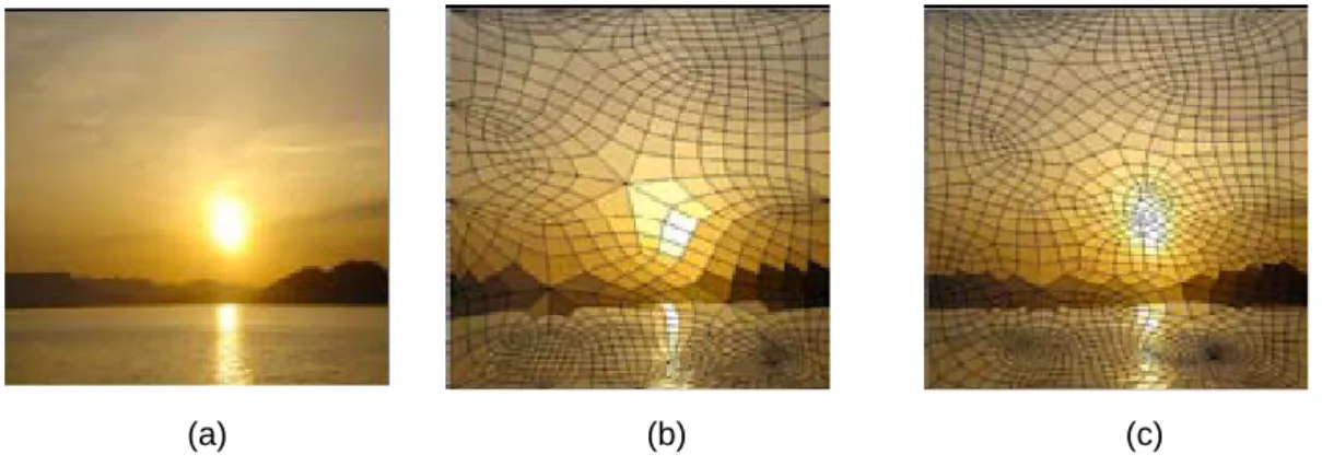 Figure 2.9 Experimental results from Kojima, et al. [8]. (a) An original image. (b) A mosaic image only  with global features