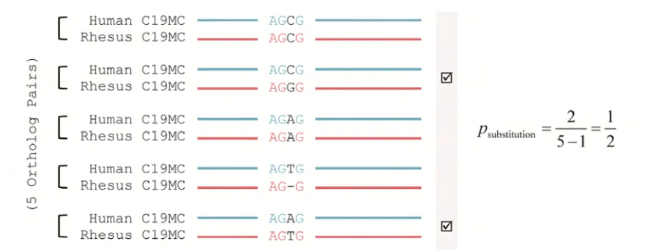 Figure 10  Process of Substitution Calculation 