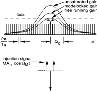 Fig. 2.3 Actively mode-locked modes in the frequency domain. 
