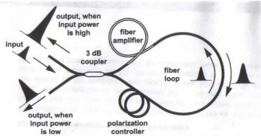 Fig 2-12 Principle of operation of the NALM operated in reflection 