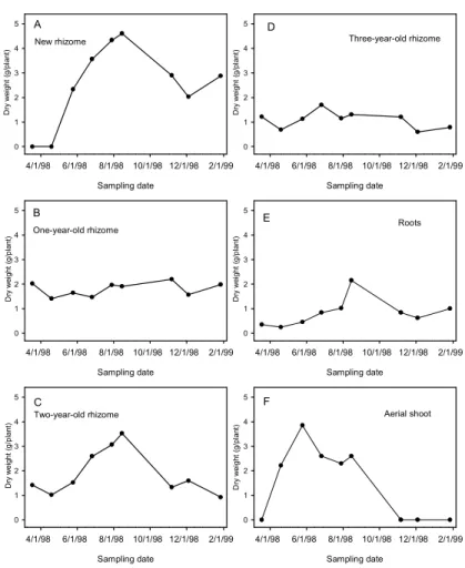 Fig 1. Changes in dry weights of rhizome, root and aerial shoot with time in Polygonatum                odoratum ‘Variegatum’ grown in shade house conditions at Meifeng.