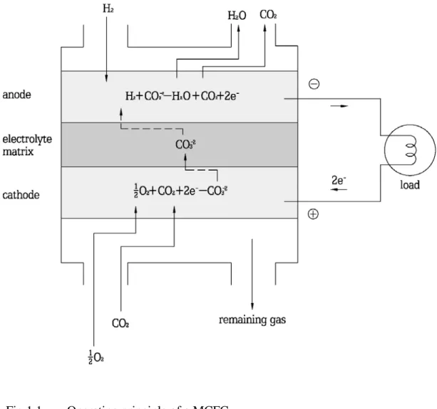 Fig 1.1.    Operating principle of a MCFC 