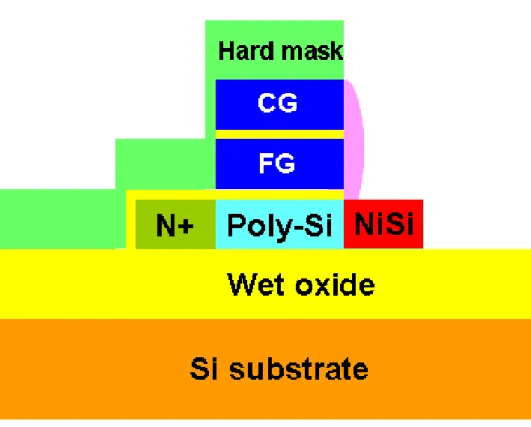 Fig. 2-6 The cross-sectional view of ASSB-FG TFT memory. 