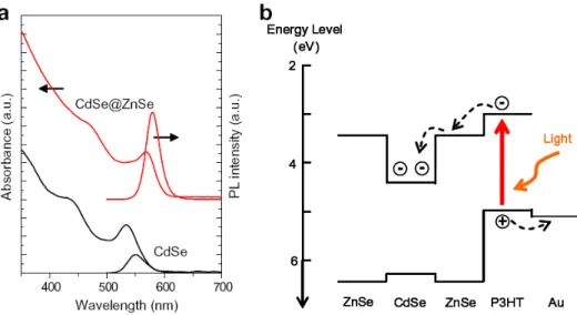 Figure 2. (a) Transfer characteristics (V DS  = -20 V) of TFTs incorporating P3HT-only,  P3HT/CdSe, and P3HT/CdSe@ZnSe blend films and operated in the dark and under white light  (2.75 mW/cm 2 ).(b) Relative I light /I dark  ratios of the transfer characte