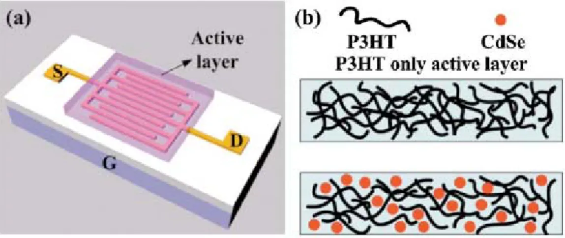Figure 1. (Color online) Schemes of devices structure and organic active layers. (a) Schematic  representation of the bottom-gate organic TFT configuration with an active polymer layer and  interdigitated source and drain (S for source, D for drain; and G 
