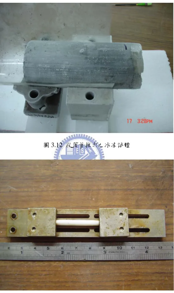 圖 3.12  從薄管推出之冰凍試體 