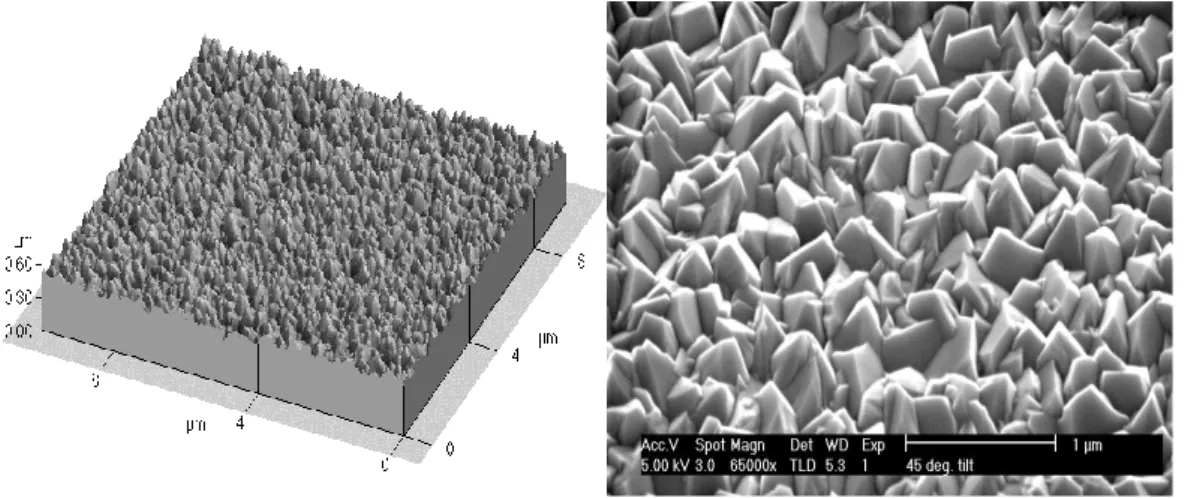 Fig. 2-2 Asahi U-type substrate (a) by AFM scan (b) by SEM scan.  [30] 