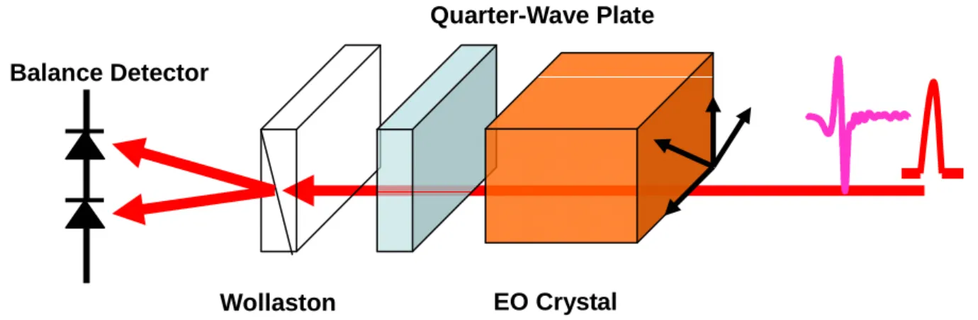 Fig 2-5 Schematic figure of Electro-optic sampling EO Crystal 
