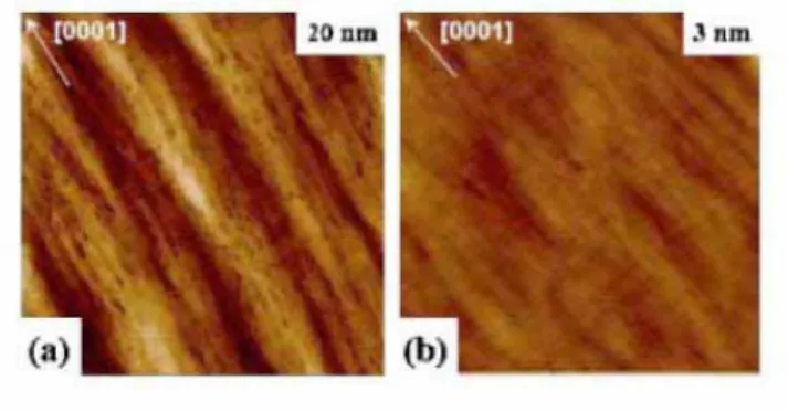 Fig. 1-3-4 AFM image of a-plane GaN without (a) and with (b) SiN x  layer on the surface 