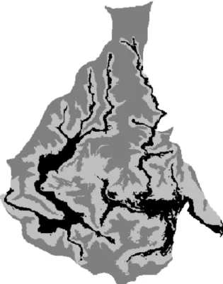 Fig. 5. Predicted vegetation community map using classifica- classifica-tion funcclassifica-tions from discriminant analysis