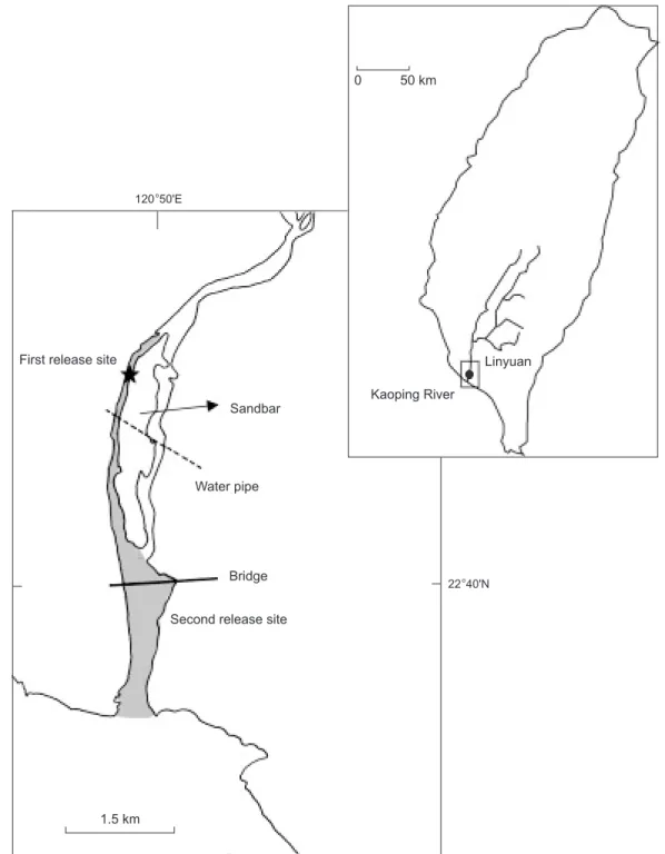 Fig. 1. Sampling site for wild Japanese eels in the lower reaches of the Kaoping River