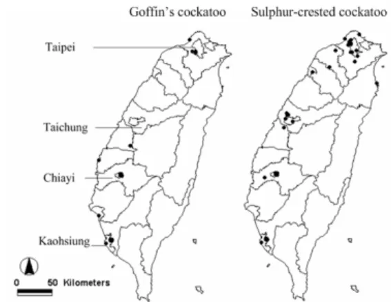 Fig. 1. Distribution maps of the Goffin’s Cockatoo (C. goffini)  and the Sulphur-crested Cockatoo (Cacatua galerita) in Taiwan  from December 1986 to December 2000