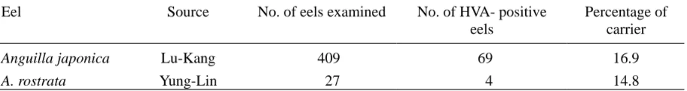 Table 1. A survey of Herpesvirus anguillae (HVA) carriers from farmed eels using polymerase chain reaction