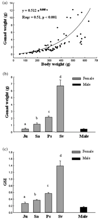 Fig. 2. Changes in gonad mass and its correlation to body mass during silvering of the wild Japanese eels