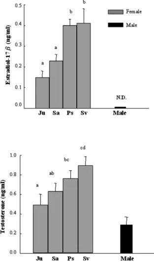 Fig. 3. Serum E and T levels in different stages of the wild 2 Japanese eels. Ju: juvenile; Sa: sub-adult; Ps: pre-silver; Sv: