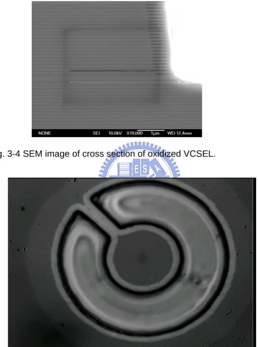 Fig. 3-4 SEM image of cross section of oxidized VCSEL. 