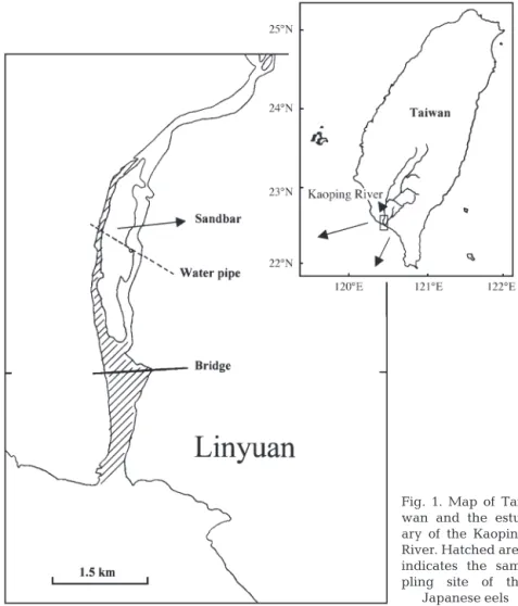 Fig. 1. Map of Tai- Tai-wan and the  estu-ary of the Kaoping River. Hatched area indicates the  sam-pling site of the