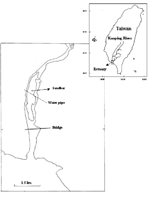 Fig. 1. Sampling location for wild Japanese eels in the estuary of the Kaoping River southwestern of  Taiwan