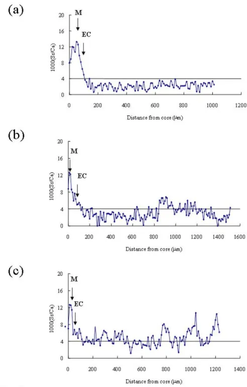 Fig. 2. Temporal changes in the Sr/Ca ratios of Japanese eel otoliths from different migratory  contingents collected from the estuary of the Kaoping River