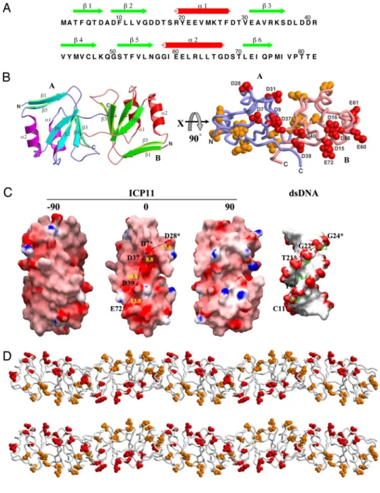 Fig. 2 A), and it also prevents plasmid DNA from forming a complex with these same histones (Fig