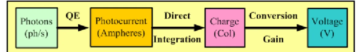 Fig. 1.2 A block diagram of signal path for an image sensor. [4] 