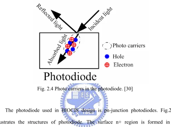 Fig. 2.4 Photo carriers in the photodiode. [30] 