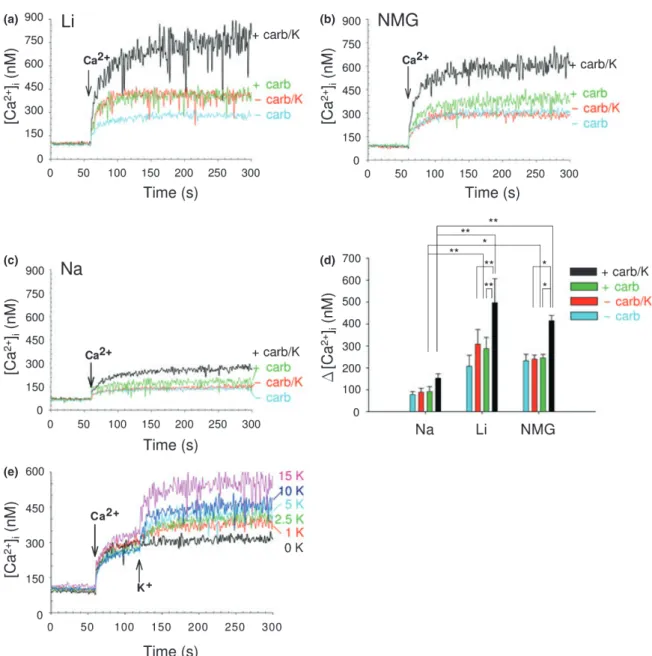 Fig. 1 Potassium enhancement of the Na + /Ca 2+ exchange activity in bovine chromaffin cells