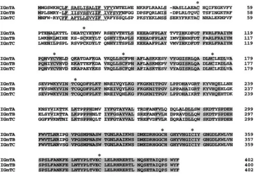 Figure 3. Expression profiles for the IGnT gene from various human tissues.