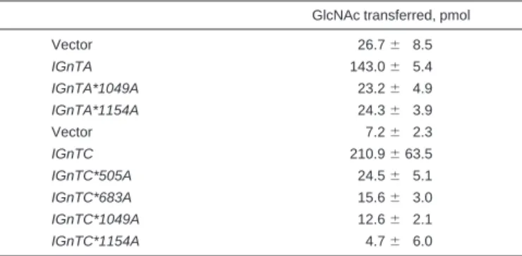 Table 1. GlcNAcT activities of the enzymes encoded from the mutant IGnTA and IGnTC cDNAs