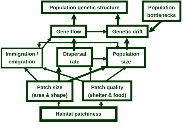Figure 1. The conceptual map of the current research. 