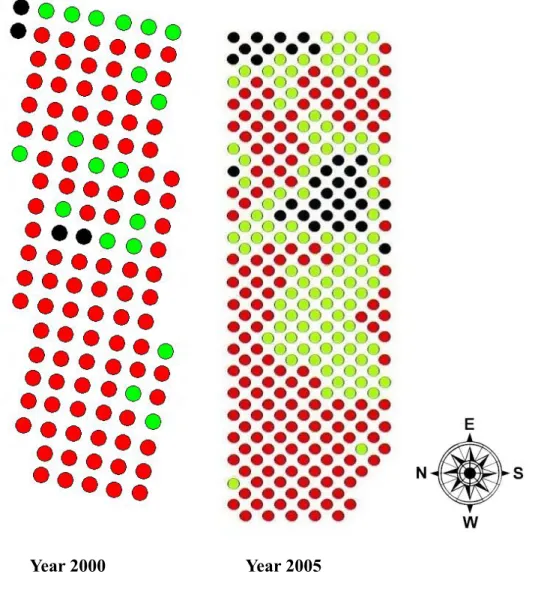 Figure 4.    Patch type distribution in 2000 and 2005, red dots: dense patch; green dots: mix patch; 