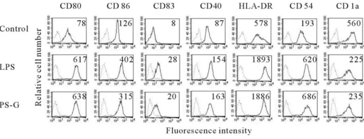 Fig. 1. The effect of PS-G and LPS on DC phenotype. Human DC were treated with PS-G (10 ␮g/ml), LPS (100 ng/ml), or medium alone for 24 h, and surface markers were analyzed by flow cytometry (dotted line, isotype control; solid line, specific mAb)