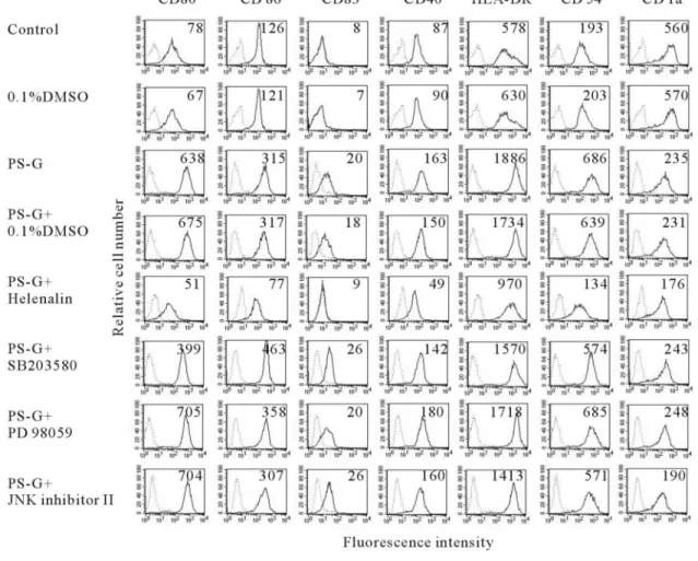 Fig. 10. The effect of inhibiting the NF- ␬B, p38 MAPK, ERK1/2, or JNK pathways on the PS-G-induced up-regulation of CD80, CD86, CD83, CD40, CD54, and HLA-DR in human monocyte-derived DC