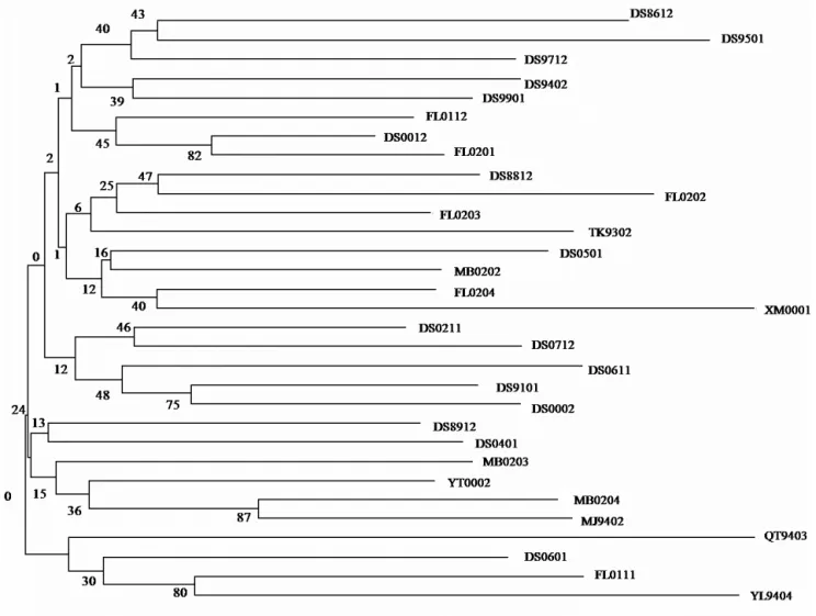Fig. 3. Anguilla japonica. Neighbor-joining phenogram based on Nei’s (1983) unbiased genetic distance among 31 samples of the Japanese eel
