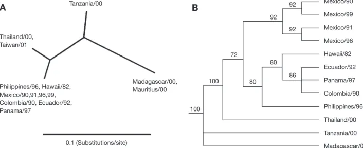 Fig. 2. Phylogenetic analysis of representative IHHNV nucleotide sequences collected from western hemisphere and sequences obtained in the current study