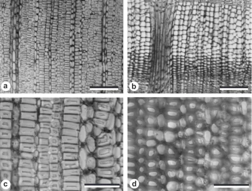 Figure 3. Cross-section images of  a  and  c  gelatinous fibers in the tension wood and  b  and  d tracheids in the opposite wood