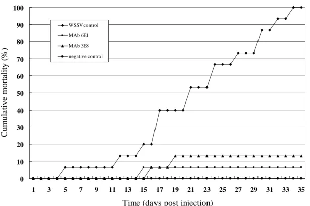 Fig. 2. Neutralization assay of WSSV infection in P. monodon using monoclonal antibodies 6E1 against VP28 or  3E8 against VP19.