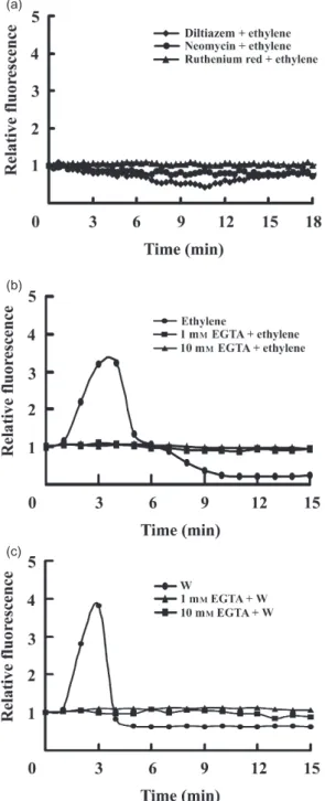 Figure 3. Effects of Ca 2+ channel blockers and A23187 on the expression of IPO. The petiole cuts of the second and third fully expanded leaves from the terminal bud were immersed in 1¥